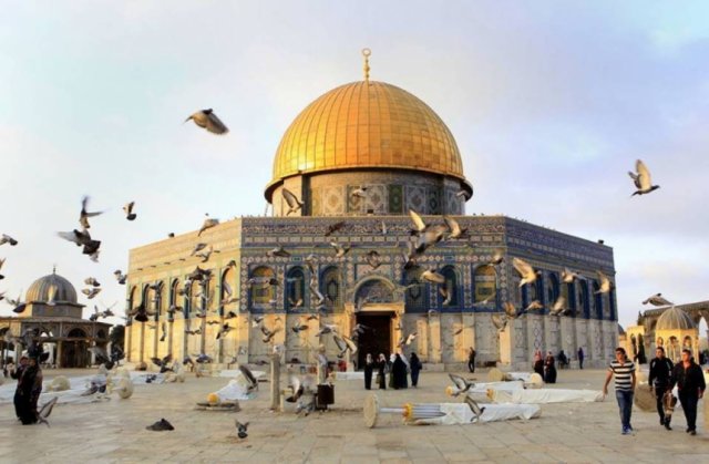 أبواب القدس السبعة.. جمال يشع بالصمود