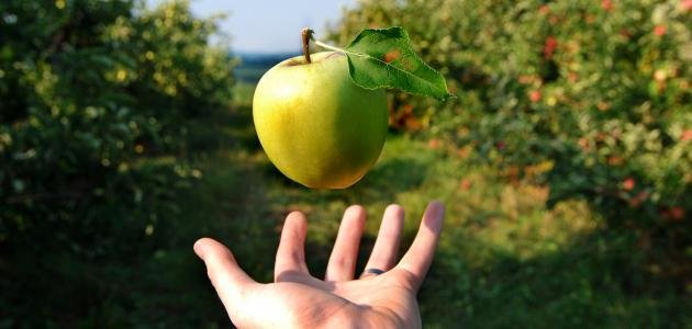 قانون الجاذبية الأرضية التعريف وأهم الخصائص